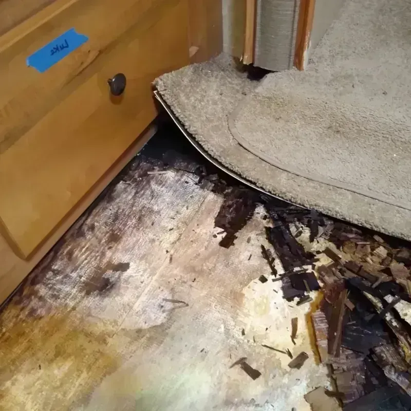 Wood Floor Water Damage in Lakewood Shores, IL